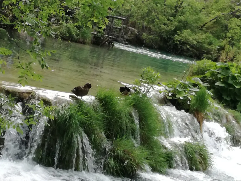 Plitvice (2)